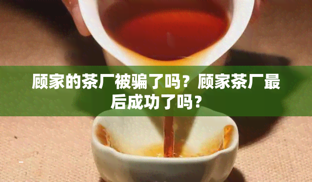 顾家的茶厂被骗了吗？顾家茶厂最后成功了吗？