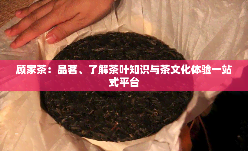 顾家茶：品茗、了解茶叶知识与茶文化体验一站式平台