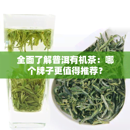 全面了解普洱有机茶：哪个牌子更值得推荐？