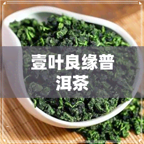 壹叶良缘普洱茶