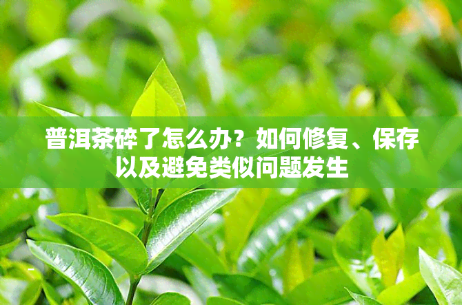 普洱茶碎了怎么办？如何修复、保存以及避免类似问题发生