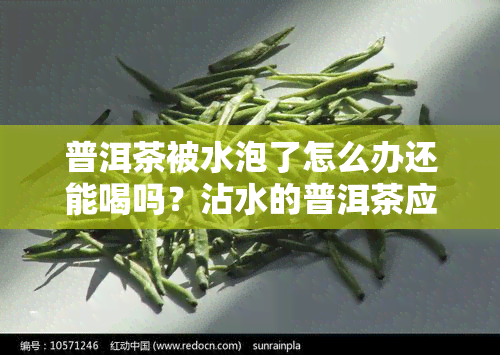 普洱茶被水泡了怎么办还能喝吗？沾水的普洱茶应该怎么处理？