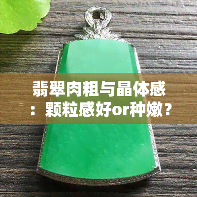 翡翠肉粗与晶体感：颗粒感好or种嫩？与棉的对比如何？