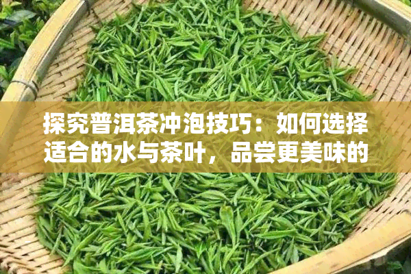 探究普洱茶冲泡技巧：如何选择适合的水与茶叶，品尝更美味的泡普洱茶