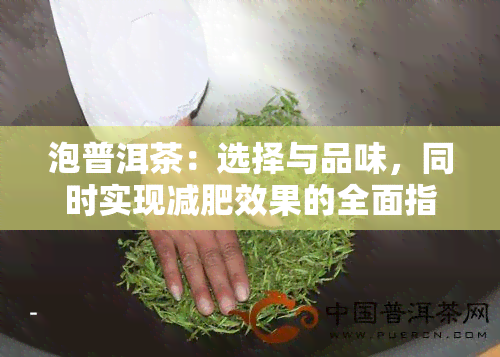 泡普洱茶：选择与品味，同时实现减肥效果的全面指南