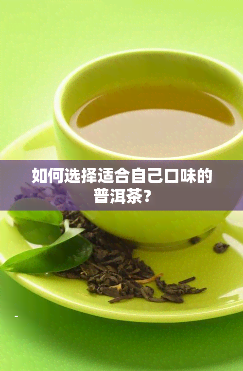 如何选择适合自己口味的普洱茶？