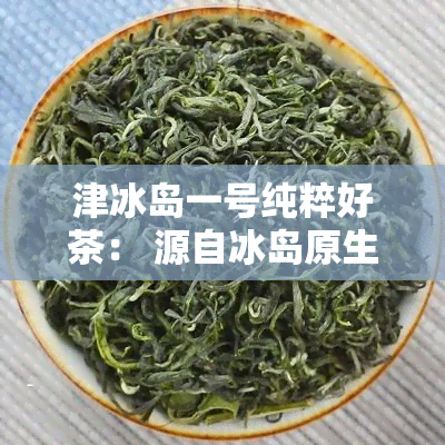 津冰岛一号纯粹好茶： 源自冰岛原生态的顶级普洱茶体验