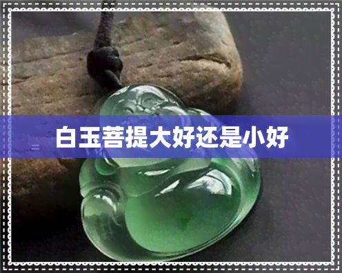 白玉菩提大好还是小好