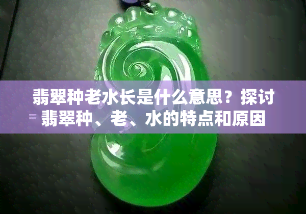 翡翠种老水长是什么意思？探讨翡翠种、老、水的特点和原因