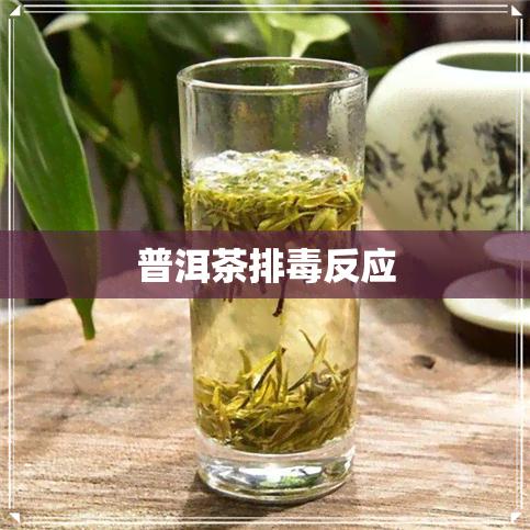 普洱茶排反应