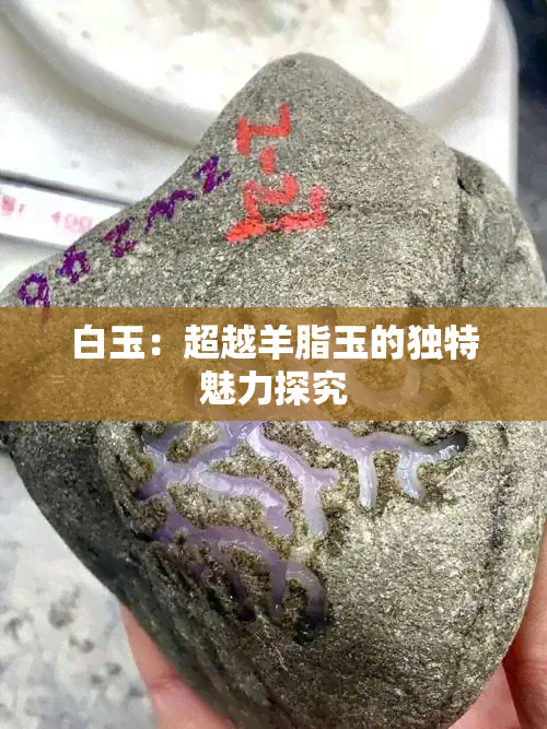 白玉：超越羊脂玉的独特魅力探究