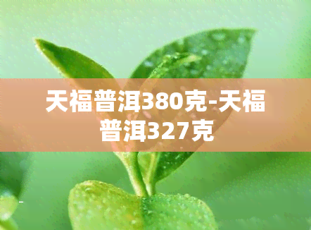 天福普洱380克-天福普洱327克