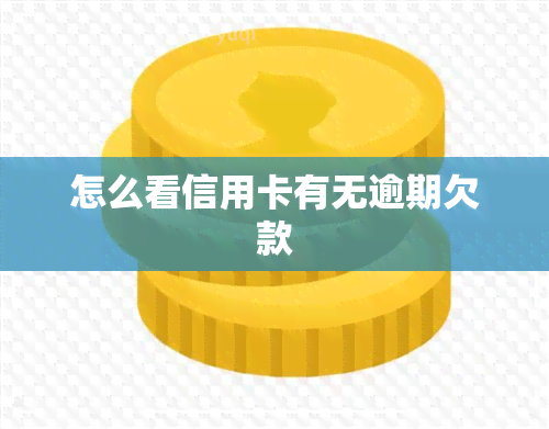 怎么看信用卡有无逾期欠款