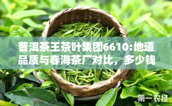 普洱茶王茶叶集团6610:地道品质与春海茶厂对比，多少钱一盒？价格表揭秘！