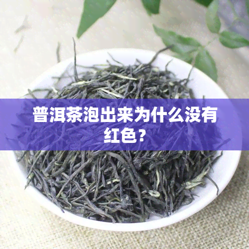 普洱茶泡出来为什么没有红色？