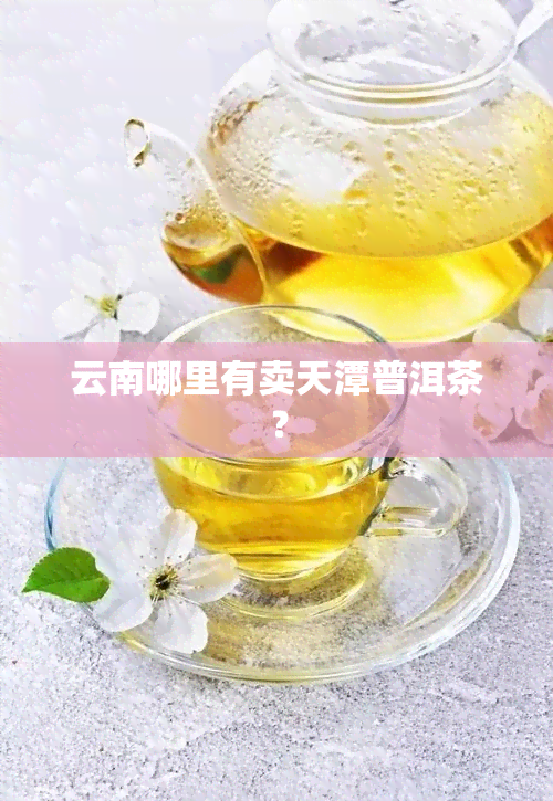 云南哪里有卖天潭普洱茶？