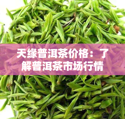 天缘普洱茶价格：了解普洱茶市场行情