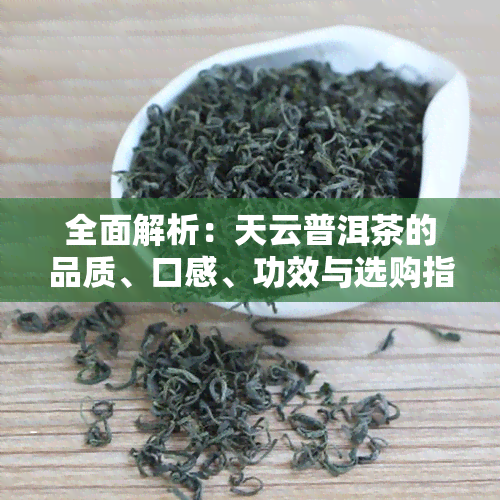 全面解析：天云普洱茶的品质、口感、功效与选购指南，解答您的所有疑问