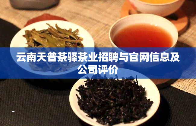 云南天普茶驿茶业招聘与官网信息及公司评价