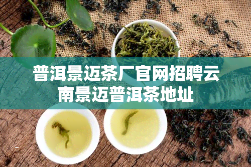 普洱景迈茶厂官网招聘云南景迈普洱茶地址