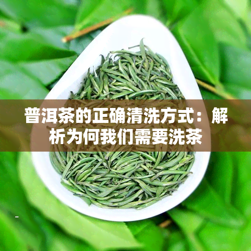 普洱茶的正确清洗方式：解析为何我们需要洗茶