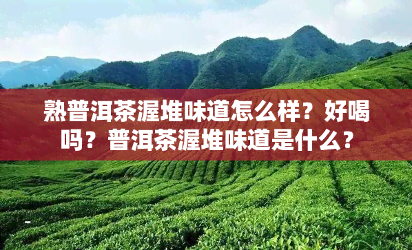 熟普洱茶渥堆味道怎么样？好喝吗？普洱茶渥堆味道是什么？