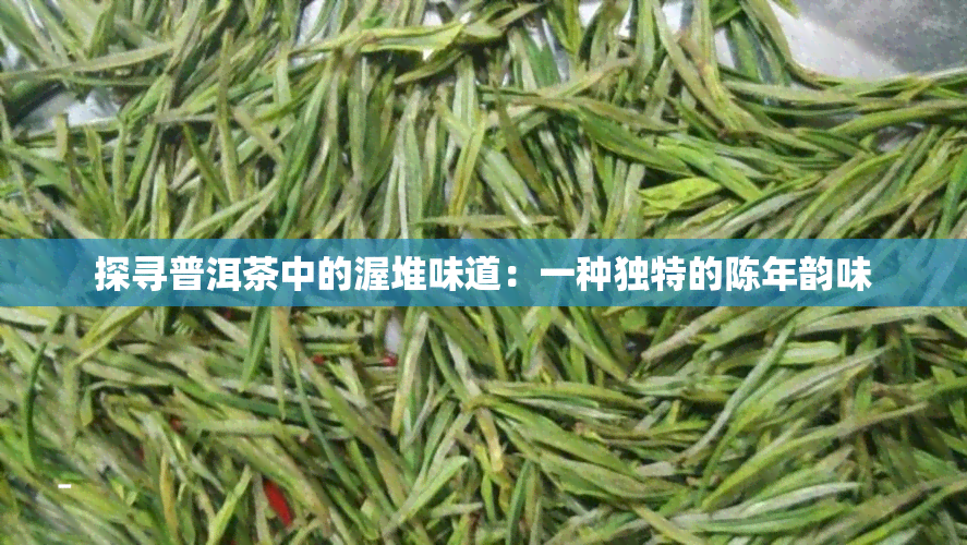 探寻普洱茶中的渥堆味道：一种独特的陈年韵味