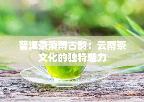 普洱茶滇南古韵：云南茶文化的独特魅力