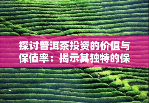 探讨普洱茶投资的价值与保值率：揭示其独特的保值性质