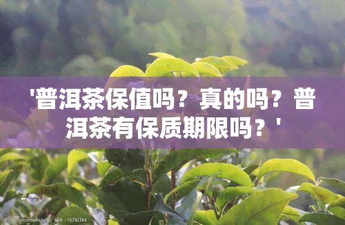 '普洱茶保值吗？真的吗？普洱茶有保质期限吗？'