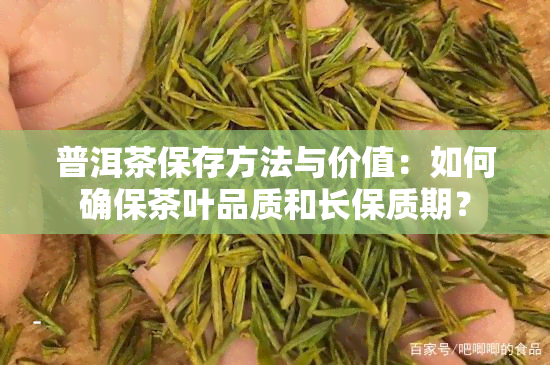 普洱茶保存方法与价值：如何确保茶叶品质和长保质期？