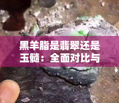 黑羊脂是翡翠还是玉髓：全面对比与解答