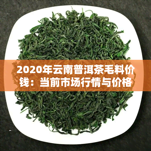 2020年云南普洱茶毛料价钱：当前市场行情与价格分析