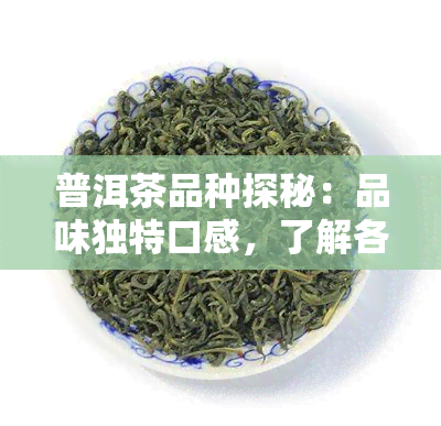 普洱茶品种探秘：品味独特口感，了解各类特点与鉴别方法