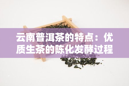 云南普洱茶的特点：优质生茶的陈化发酵过程及其对口感和香气的影响