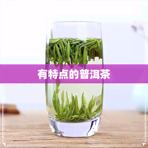 有特点的普洱茶