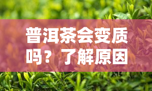 普洱茶会变质吗？了解原因及保存方法，确保品饮品质