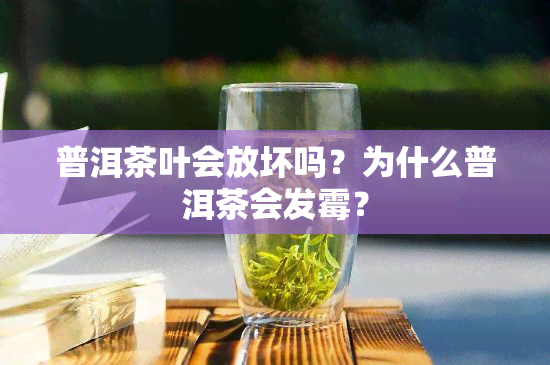 普洱茶叶会放坏吗？为什么普洱茶会发霉？