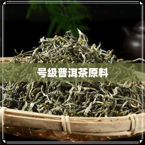 号级普洱茶原料