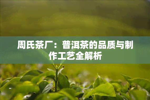 周氏茶厂：普洱茶的品质与制作工艺全解析