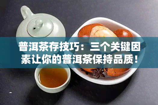 普洱茶存技巧：三个关键因素让你的普洱茶保持品质！