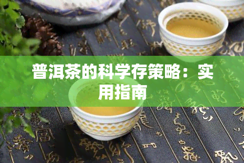 普洱茶的科学存策略：实用指南