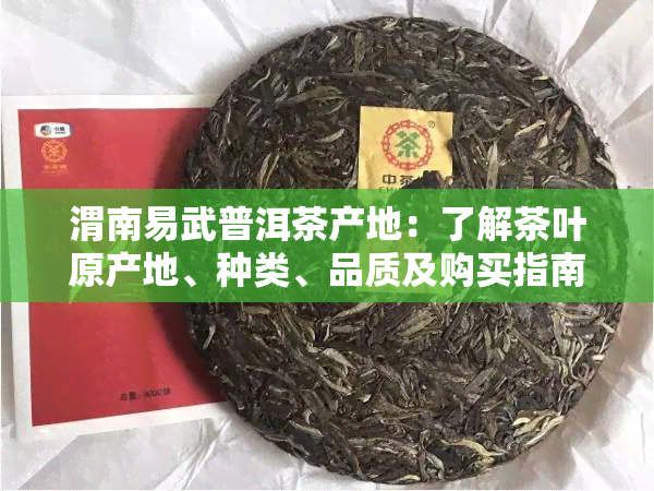 渭南易武普洱茶产地：了解茶叶原产地、种类、品质及购买指南的全面解答