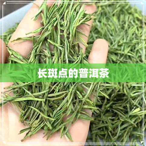 长斑点的普洱茶