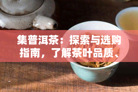 集普洱茶：探索与选购指南，了解茶叶品质、历及泡法等全方位信息