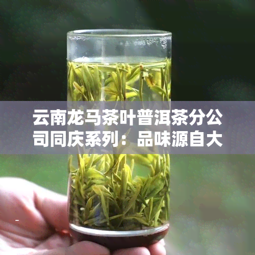 云南龙马茶叶普洱茶分公司同庆系列：品味源自大自然的醇香