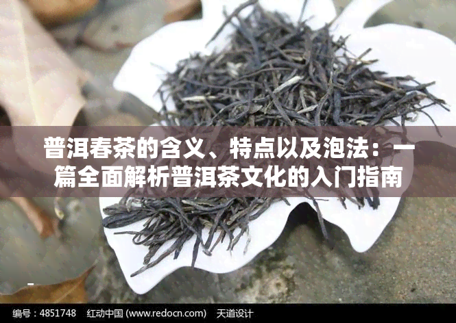 普洱春茶的含义、特点以及泡法：一篇全面解析普洱茶文化的入门指南