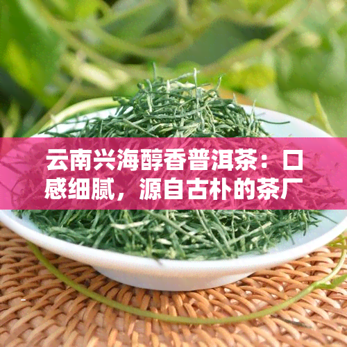 云南兴海醇香普洱茶：口感细腻，源自古朴的茶厂工艺