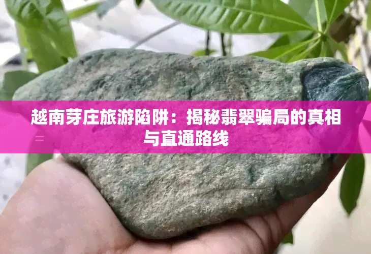 越南芽庄旅游陷阱：揭秘翡翠骗局的真相与直通路线