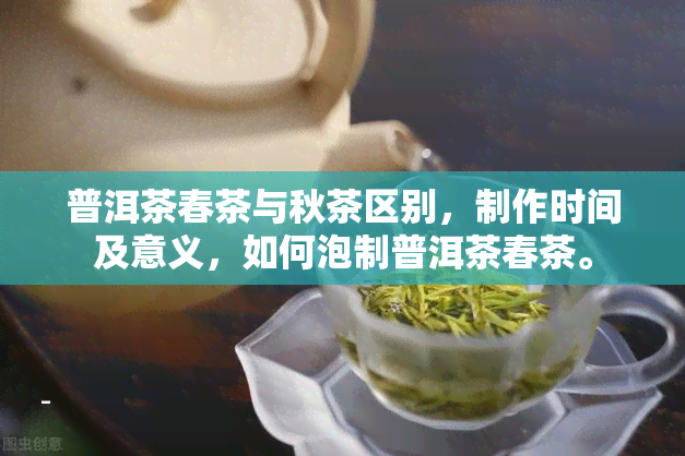 普洱茶春茶与秋茶区别，制作时间及意义，如何泡制普洱茶春茶。